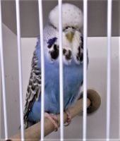 DSCF5807.JPG